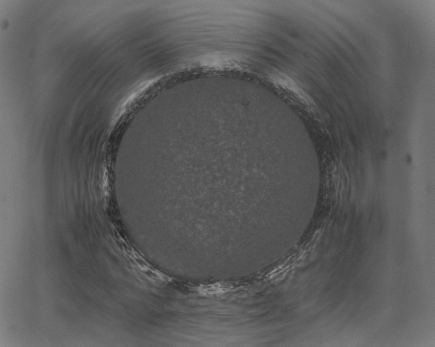 X0000062830776200601131257