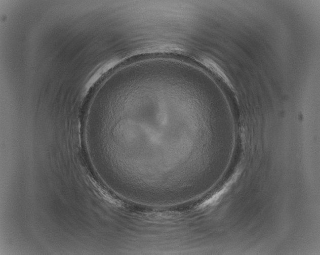 X0000062830781200601131257