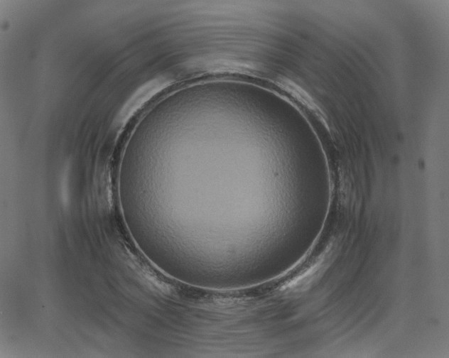 X0000062830782200601131257