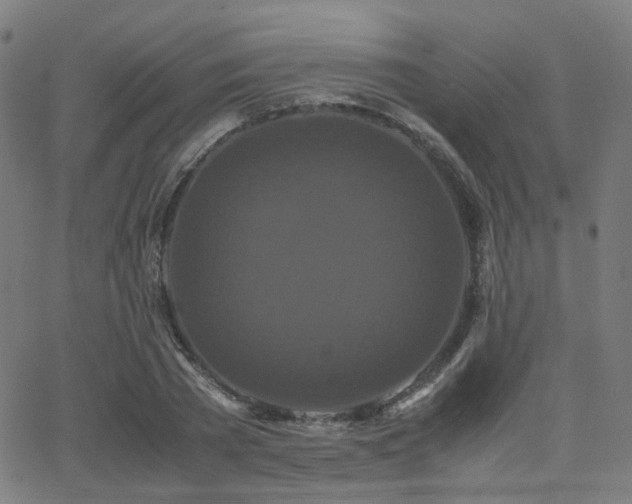 X0000062830785200601131257