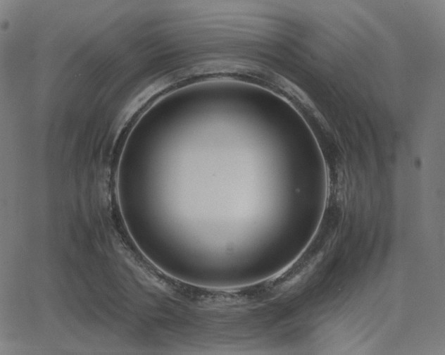 X0000062830786200601131257