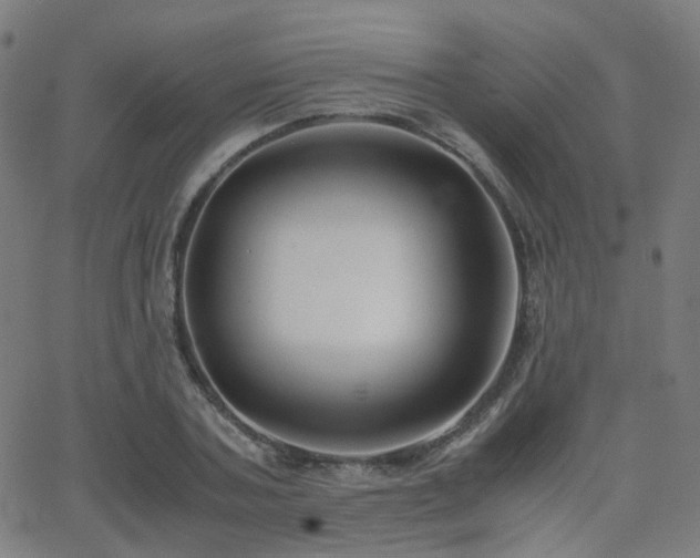 X0000062830787200601131257