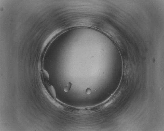 X0000062830796200601131256