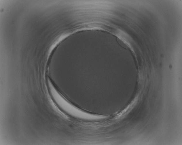 X0000062830797200601131256