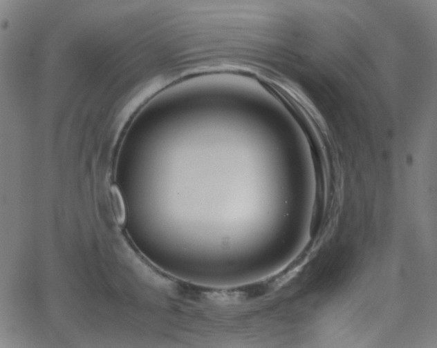 X0000062830805200601131256