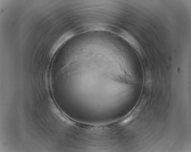 X0000062830806200601131256