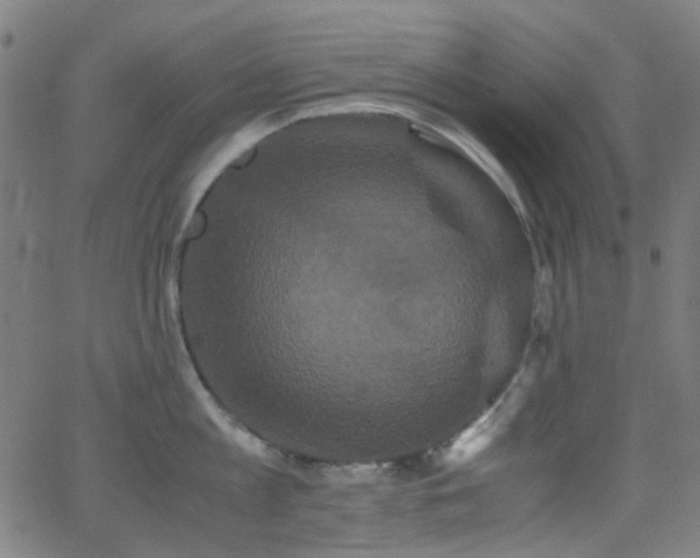 X0000062830813200601131256