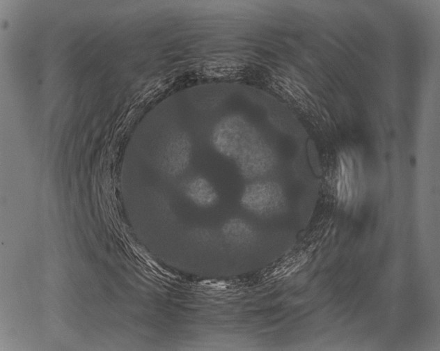 X0000062830817200601131255