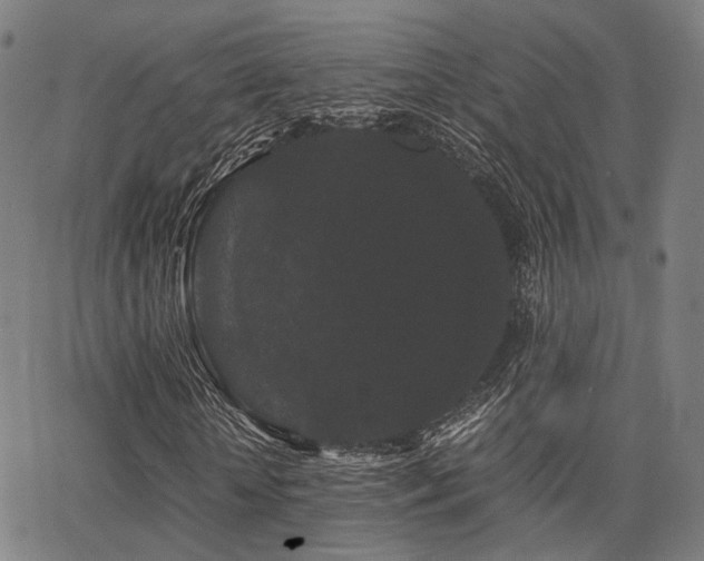 X0000062830818200601131255