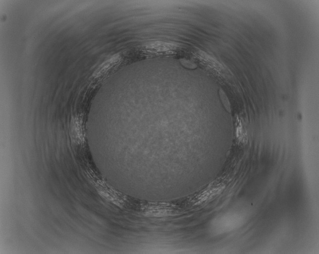 X0000062830819200601131255