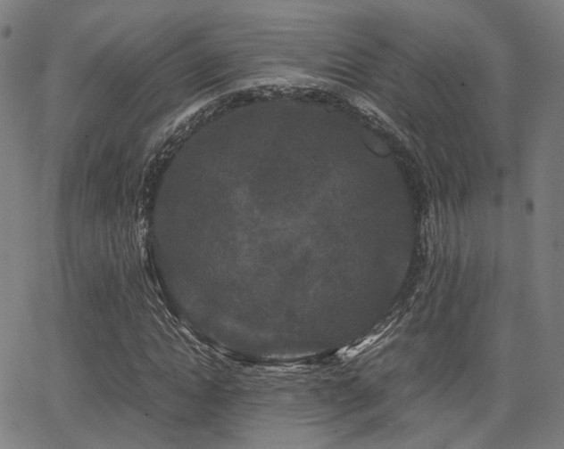 X0000062830822200601131255