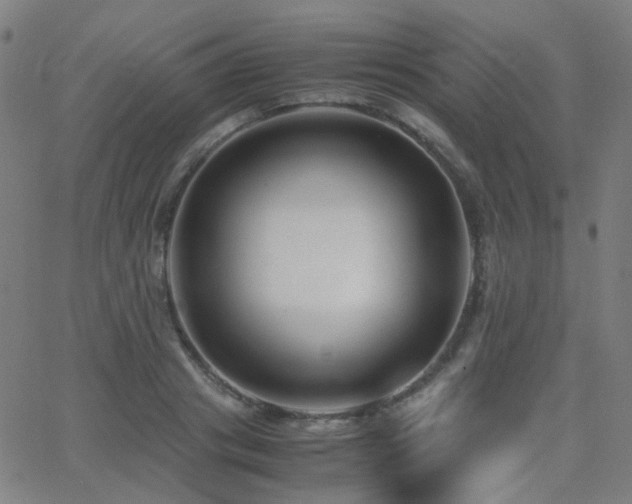 X0000062830841200601131256