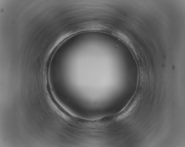X0000062830843200601131256