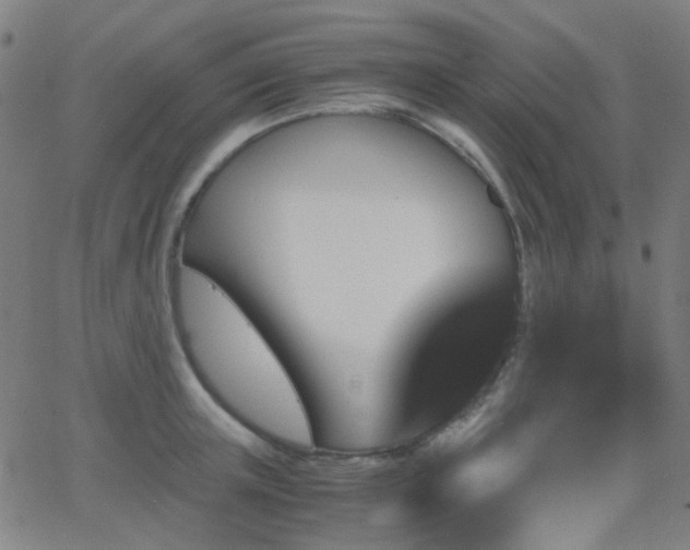 X0000062830851200601131256