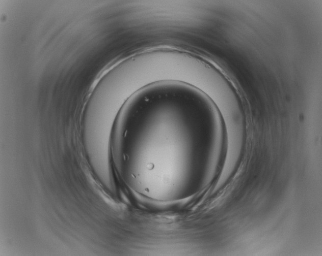 X0000062830858200601131256