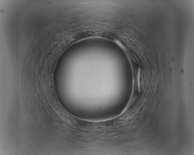 X0000062830865200601131255