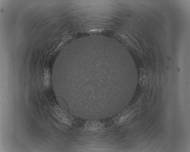 X0000062830866200601131255