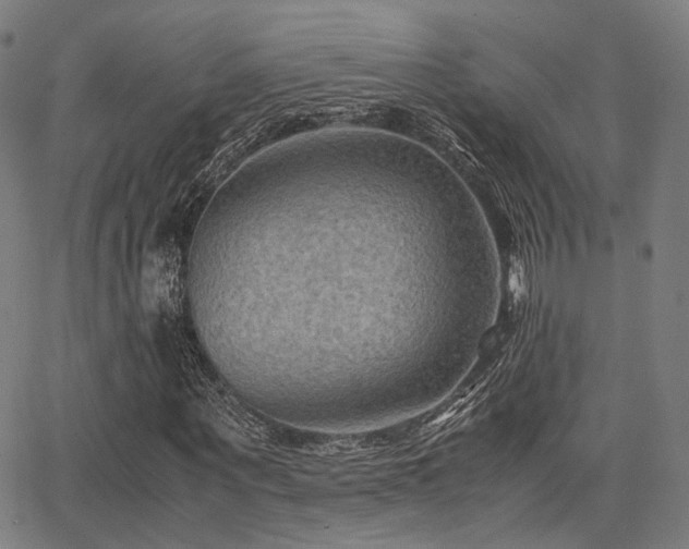 X0000062830867200601131255