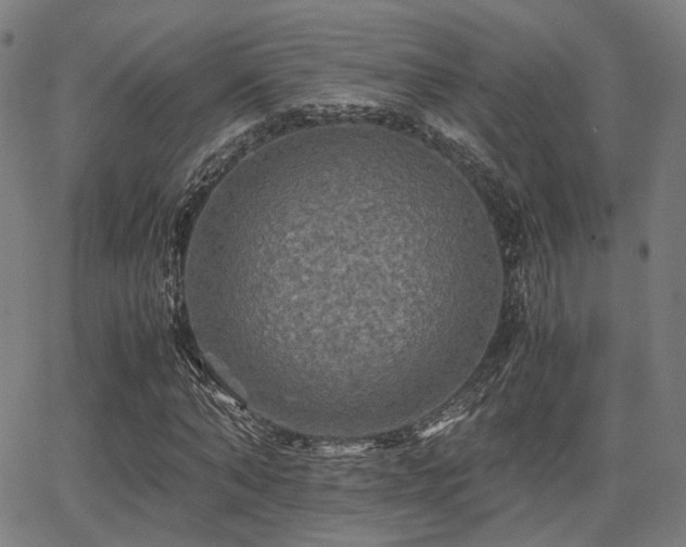 X0000062830870200601131255