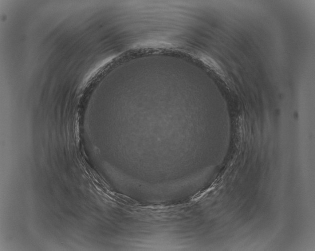 X0000062830872200601131255