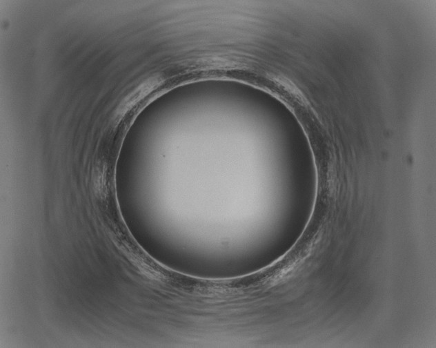 X0000062830873200601131255