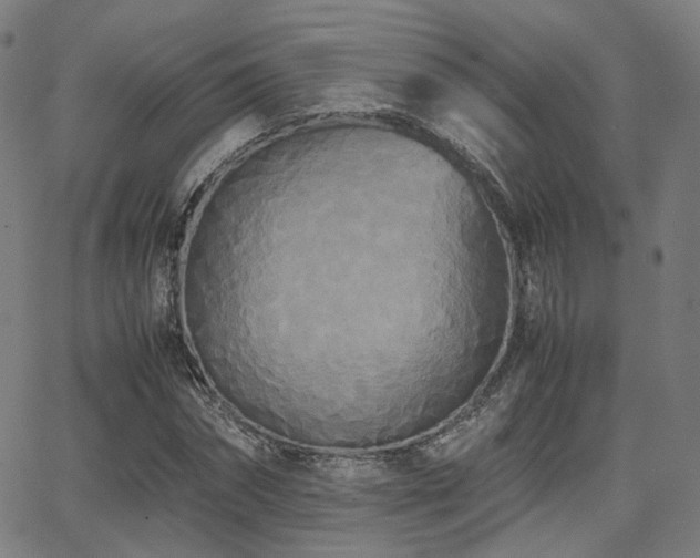 X0000062830874200601131255