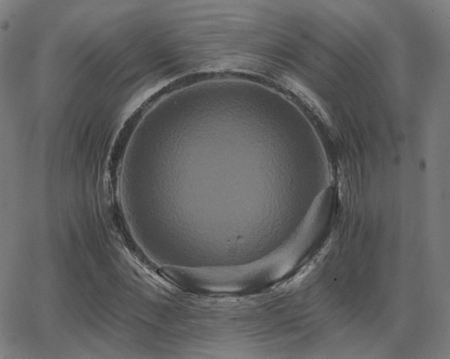 X0000062830876200601131255