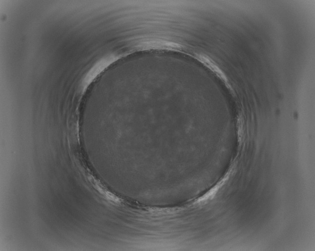 X0000062830877200601131255