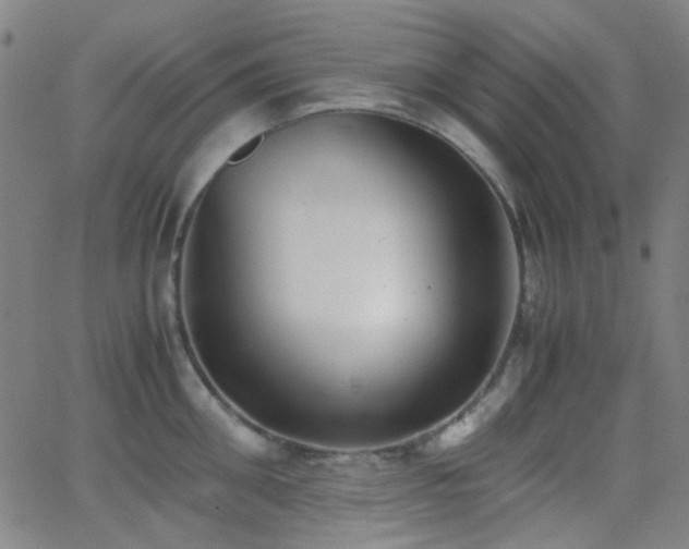 X0000062830906200601131255