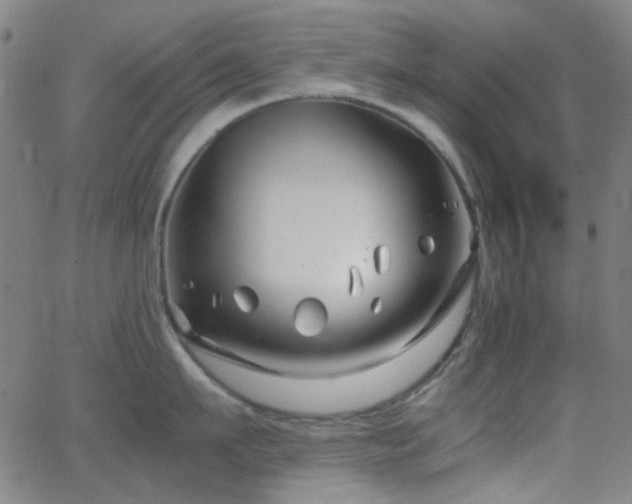 X0000062830911200601131255