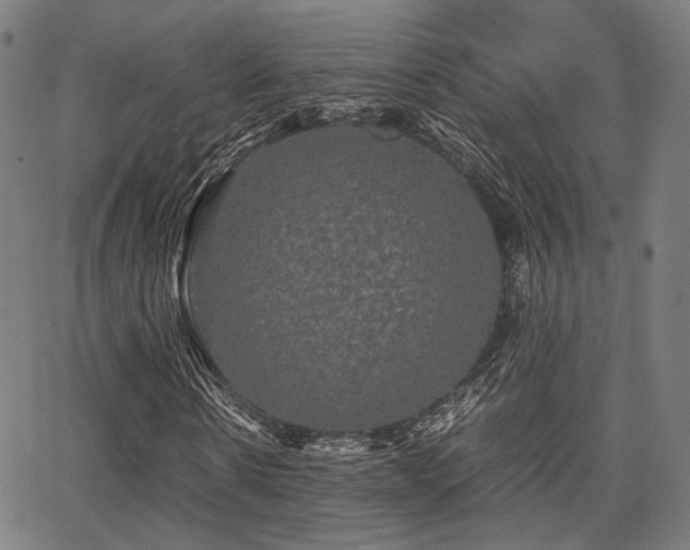 X0000062830914200601131254