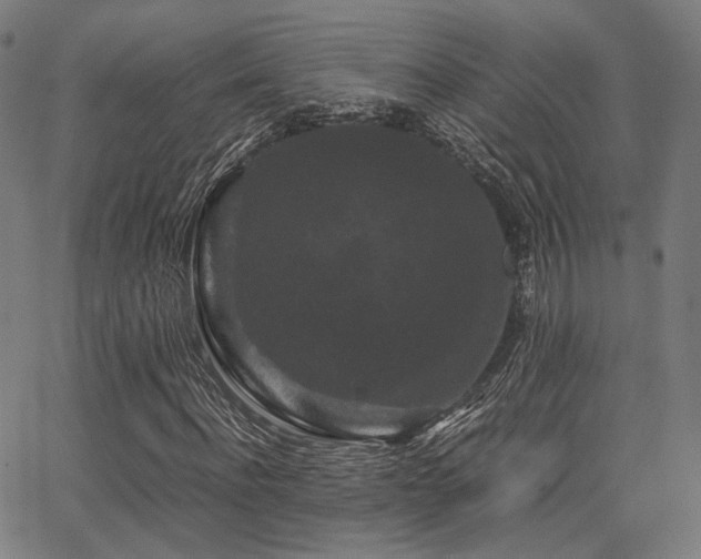 X0000062830916200601131254