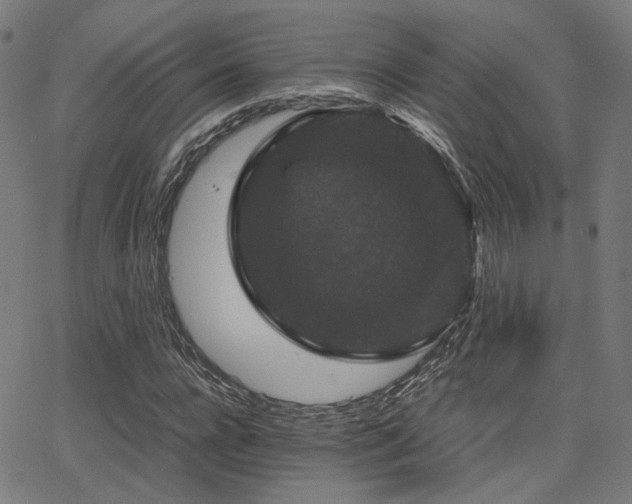 X0000062830920200601131254