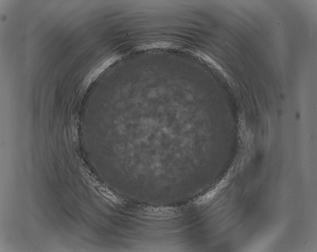 X0000062830921200601131254