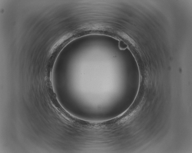 X0000062830922200601131254