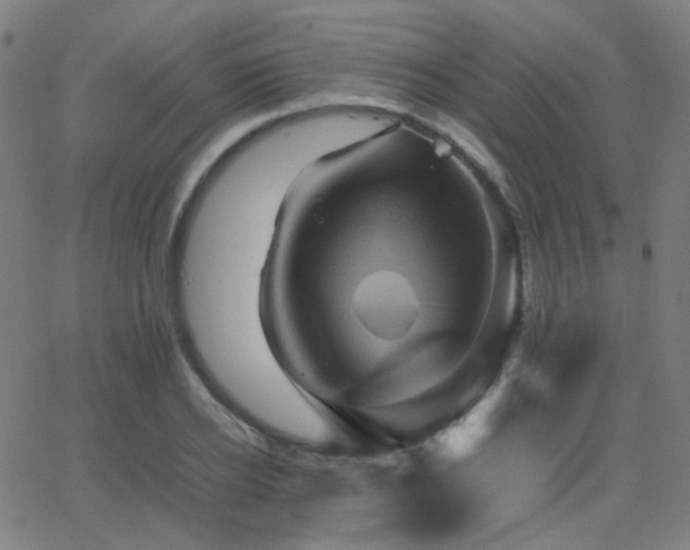X0000062830934200601131254