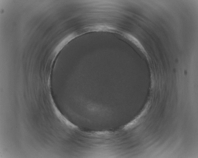 X0000062830946200601131254