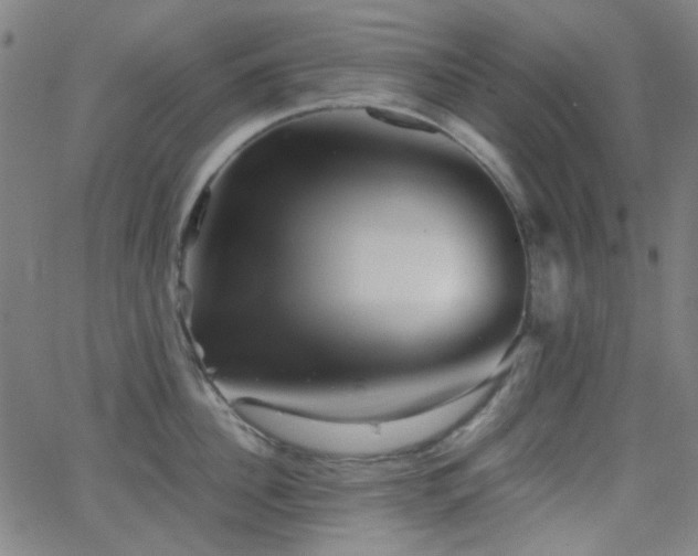 X0000062830956200601131254