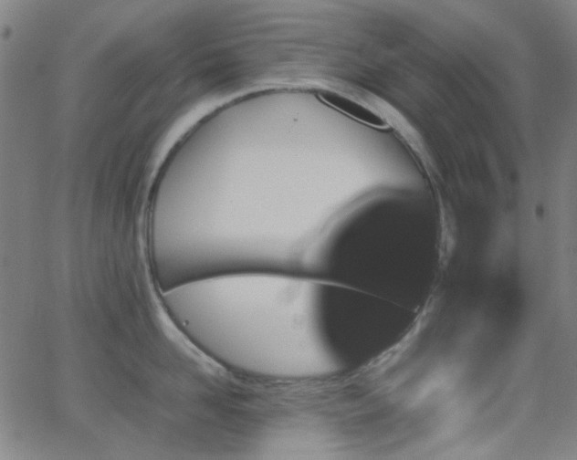 X0000062830958200601131254