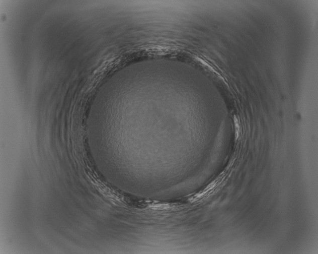 X0000062830961200601131254