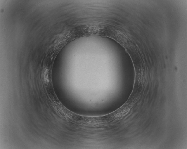 X0000062830962200601131254