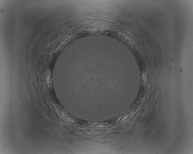 X0000062830963200601131254
