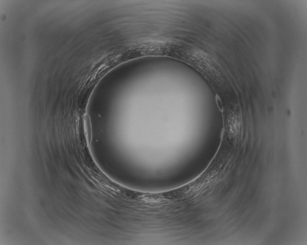 X0000062830964200601131254