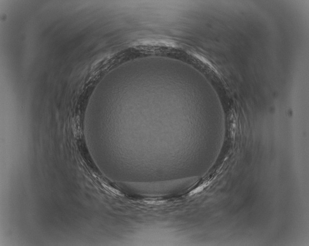 X0000062830965200601131254