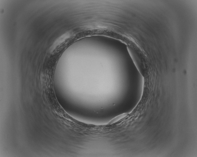 X0000062830967200601131254