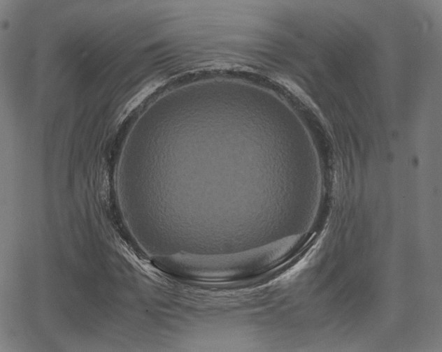 X0000062830969200601131254