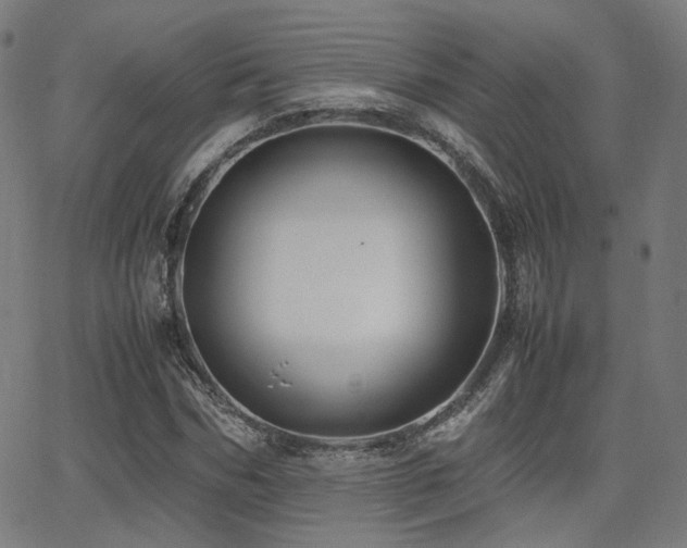 X0000062830970200601131254