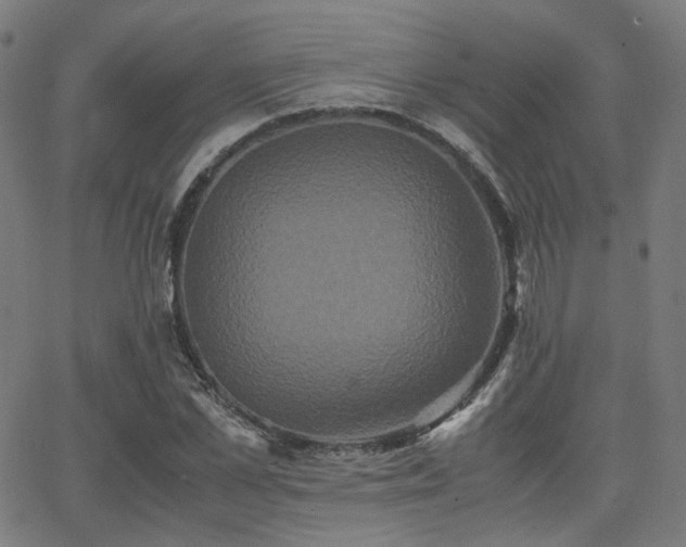 X0000062830973200601131253