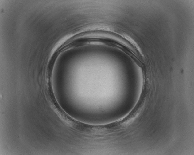 X0000062830981200601131253