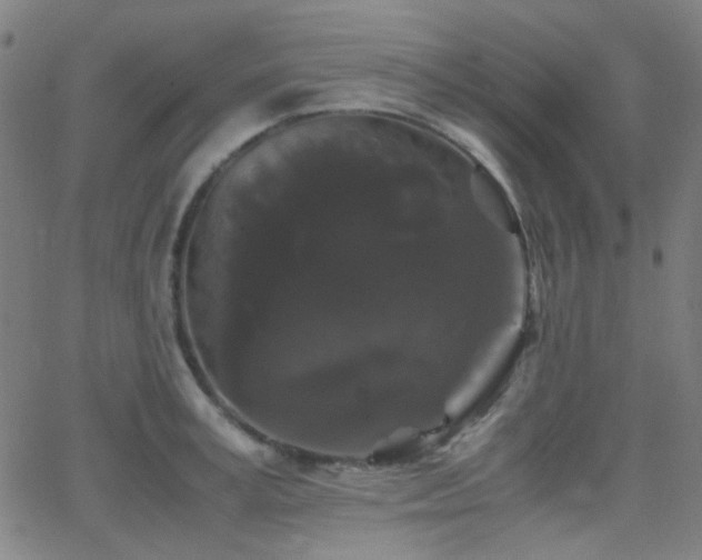 X0000062830995200601131253